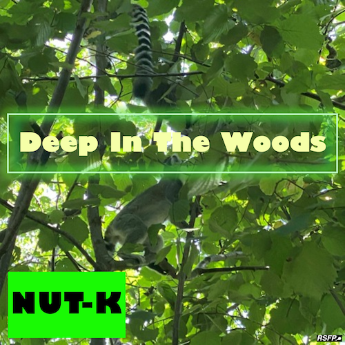 Deep In The Woods